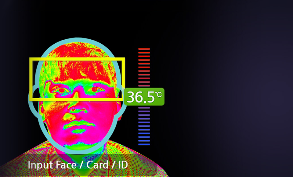 выявляет на лице человека область, оптимальную для измерения температуры