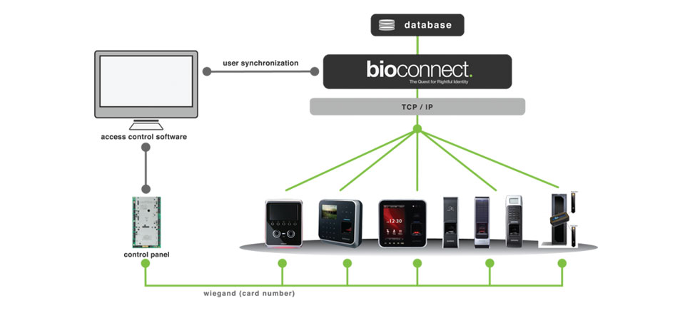 Принцип работы BioConnect